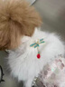 文枝加絨高端年裝狗狗公主裙國風(fēng)冬季保暖寵物小型犬衣服 粉色 M 曬單實(shí)拍圖