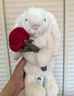 Jellycat情人節新品懷抱玫瑰花兔子毛絨玩具可愛(ài)邦尼兔子公仔禮物擺件玩偶 手捧玫瑰邦尼兔31CM+禮袋 曬單實(shí)拍圖