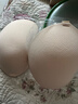 菇娘家胸貼聚攏上托大胸防垂防滑隱形無(wú)痕文胸芒果杯乳貼無(wú)肩帶婚紗專(zhuān)用 曬單實(shí)拍圖