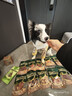 HELLOJOY狗狗零食10種口味福氣大禮包1.2KG成犬幼犬磨牙獎勵雞鴨肉干2.4斤 曬單實(shí)拍圖