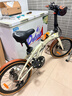 大行（DAHON）折疊自行車(chē)配件復古風(fēng)擋泥板16-20寸全包泥除p8K3D5改裝套件 復古泥板【20寸】 曬單實(shí)拍圖