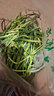 京喜自營(yíng)新鮮蒜苔現采現發(fā)生鮮蔬菜超市同款即食蒜苔 新鮮蒜苔5斤 曬單實(shí)拍圖