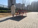 雙飛勝乒乓球桌室外 標準戶(hù)外球臺可折疊防水防曬smc家用乒乓球案子 室外標準乒乓球桌 曬單實(shí)拍圖