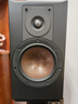 達尼（DALI） OPTICON 2 MKII新歐典2mk2高保真書(shū)架無(wú)源音響丹麥進(jìn)口家用音箱 煙灰橡木色 曬單實(shí)拍圖