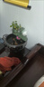 米聆景德鎮陶瓷魚(yú)缸家用流水噴泉小金魚(yú)缸大號養魚(yú)盆擺件客廳加濕造景 綠荷+流水器+送6 小號缸直徑24厘米高13厘米 曬單實(shí)拍圖