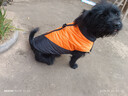 冬季狗狗棉服加厚保暖輕盈防水小狗衣服冬天外出冬裝棉衣寵物馬甲 黑+桔 XL（11-15斤） 狗狗V型馬甲棉服 曬單實(shí)拍圖
