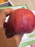 陜西渭北黃土高原秦脆蘋(píng)果馬欄紅旬邑蘋(píng)果實(shí)惠款脆甜多汁包郵 4個(gè)裝試吃款  75-80mm凈重約1.4-1.6斤 曬單實(shí)拍圖