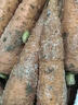 老品種胡蘿卜新鮮帶泥發(fā)貨寶寶孕婦老人農家自種非轉基因零食 5斤 曬單實(shí)拍圖