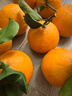 廣供天下 四川蒲江耙耙柑春見(jiàn)柑橘當季新鮮水果現摘整箱柑橘 4.5斤70-75mm 曬單實(shí)拍圖