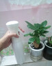 Daisy Leaf大容量高壓細霧噴霧瓶酒精消毒液噴壺帶刻度噴霧器化妝水澆花補水 曬單實(shí)拍圖