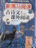 新黑馬閱讀 初中語(yǔ)文古詩(shī)文課外閱讀八年級 初中語(yǔ)文古詩(shī)文課外閱讀理解專(zhuān)項訓練閱讀理解答題技巧模版同步練習冊 曬單實(shí)拍圖