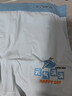 貓人內褲男青少年發(fā)育期學(xué)生純棉四角褲高中生初中生大童短褲25年新品 曬單實(shí)拍圖