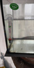 魚(yú)朵億水族魚(yú)缸溫度計吸盤(pán)式水族箱水溫計懸浮水溫表高精度防水刻度清晰 魚(yú)缸溫度計1支【刻度清晰測量精準】 曬單實(shí)拍圖