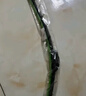 一途（YITU）雨刮器雨刷器適用于長(cháng)安奔奔【14款至今】雨刮片原廠(chǎng)原裝尺寸膠條 曬單實(shí)拍圖