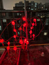 新款陽(yáng)臺紅燈籠掛樹(shù)燈串 太陽(yáng)能戶(hù)外庭院氛圍裝飾壁燈室外led彩燈 水晶流蘇紅燈籠 3米20燈電池款（3節5號電池） 曬單實(shí)拍圖