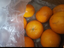 廣西武鳴沃柑新鮮橘子水果生鮮當季皇帝沙糖蜜橘砂糖柑橘整箱包郵 凈重9斤 單果70mm+ 曬單實(shí)拍圖