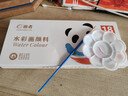 水彩水粉青竹馬利顏料套裝美術(shù)生專(zhuān)用畫(huà)畫(huà)工具繪畫(huà)學(xué)生兒童涂鴉24色管狀12彩色36水粉畫(huà)可水洗 單盒顏料+繪畫(huà)3件套 【水彩顏料】18色5ml 曬單實(shí)拍圖
