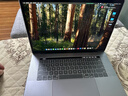 Apple二手蘋(píng)果筆記本電腦Macbook Pro商務(wù)辦公渲染剪輯游戲MacOS+Win雙系統并存 19款15寸MV902定制i9/32G-1TB 【英特爾機型-Pro系列】99成新 曬單實(shí)拍圖