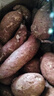 言覺(jué)板栗蜜薯10斤紅薯西瓜紅 沙地蜜薯小香薯新鮮現挖河南地瓜山芋 紅薯 精選5斤裝 曬單實(shí)拍圖