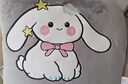 抱枕被子兩用加厚二合一折疊汽車(chē)載枕頭被辦公室午睡毯子冬天靠枕 長(cháng)耳兔-煙灰-加絨加厚 50cm*50cm 打開(kāi)190*145重約4斤 曬單實(shí)拍圖