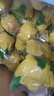四川安岳黃檸檬 檸檬水新鮮當季水果 進(jìn)口檸檬大檸檬整箱一件批發(fā) 3斤裝【90-150g】 默認 曬單實(shí)拍圖