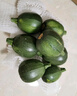 中鮮生云南新鮮嫩南瓜迷你小瓜現摘現發(fā)新鮮蔬菜 5斤 裝 曬單實(shí)拍圖