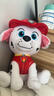 汪汪隊立大功（PAW PATROL）毛絨玩具狗狗陪睡玩偶經(jīng)典款毛毛中號坐姿可愛(ài)公仔男女孩生日禮物 曬單實(shí)拍圖