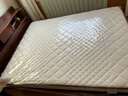 雅鹿家用記憶棉乳膠床墊軟墊學(xué)生宿舍臥室專(zhuān)用墊子白藍邊150*200 曬單實(shí)拍圖