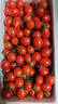 精選小西紅柿孕婦可食用新鮮小番茄現摘顯發(fā)無(wú)添加原味薄皮水果 3斤 曬單實(shí)拍圖