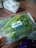 葉菜拼盤(pán)500g(菠菜葉+蒿子稈+生菜葉+娃娃菜) 曬單實(shí)拍圖
