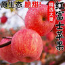 洛川蘋(píng)果洛川紅富士蘋(píng)果 陜西延安洛川蘋(píng)果 時(shí)令生鮮水果產(chǎn)地直發(fā) 帶箱10斤（凈重8.5斤約18-21枚）單果200g+ 曬單實(shí)拍圖
