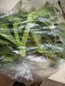 【送沙拉醬】新鮮冰草冰菜沙拉菜火鍋即食生吃生菜送沙拉醬西餐廳 新鮮冰草1斤 曬單實(shí)拍圖