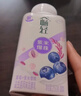 伊利暢輕低溫酸奶 生牛乳 藍莓紫米爆珠250g*8瓶酸牛奶 源頭直發(fā)包郵 曬單實(shí)拍圖