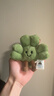 Jellycat趣味仙奧弗拉三葉草包包掛飾毛絨掛件2026生日情人節禮物 綠色 One Size 曬單實(shí)拍圖