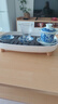萊貝（RYBACK）日式茶盤(pán)茶臺茶托盤(pán)家用功夫茶具托盤(pán)塑料茶托桌面杯子瀝水置物盤(pán) 長(cháng)方形茶托 曬單實(shí)拍圖