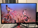 華碩ROG 超神27 PG27UCDM 26.5英寸顯示器OLED4K 240Hz顯示器電競G-sync Type-C杜比視界HDR400 DP2.1 曬單實(shí)拍圖