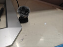 大疆 DJI Mic Mini 迷你無(wú)線(xiàn)高品音質(zhì) 降噪領(lǐng)夾麥克風(fēng) 【安卓+蘋(píng)果15/16/17系列】手機版 一拖一 曬單實(shí)拍圖