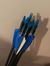 布拉澤弓箭箭支滾卷玻纖純碳箭6/8mm射箭練習專(zhuān)用箭支箭館射擊運動(dòng)箭矢 6mm玻纖箭10支 藍白羽 曬單實(shí)拍圖