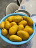 南步海南小臺農芒果 現摘需催熟臺農芒甜心小芒果雞蛋芒新鮮熱帶水果 3斤 中果【單果70g+】需催熟 曬單實(shí)拍圖