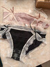 都市麗人丁字褲女士?jì)妊澟渴孢m透氣蕾絲邊女生性感甜美三角褲3條M 曬單實(shí)拍圖