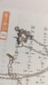 閃耀雙子星幻彩星星項鏈小眾高級感鎖骨鏈夏天女 雙子星項鏈 曬單實(shí)拍圖