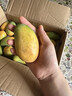 海南小臺農芒果9斤新鮮現摘小臺芒應當季時(shí)令熱帶水果整箱甜心芒 5斤凈重4.5斤 【大果】精選裝 曬單實(shí)拍圖