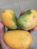 南步海南小臺農芒果 核小香甜雞蛋芒小臺芒非金煌應季新鮮熱帶水果 凈重2.5斤 大果【單果110g+】需催熟 曬單實(shí)拍圖