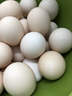 趣嘗鮮可生食標準鮮雞蛋30枚 凈重2.7斤 谷物喂養早餐食材 源頭直發(fā) 曬單實(shí)拍圖