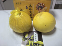 京喜加正宗玉環(huán)文旦柚子新鮮現摘浙江臺州玉環(huán)白心柚大果玉環(huán)特產(chǎn)名柚 7斤【2個(gè)中大果】（老樹(shù)文旦玉環(huán)直發(fā)） 曬單實(shí)拍圖