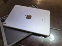 Apple 蘋(píng)果 iPad Mini 2/3/4/5/6/7代 2022/2021款 二手平板電腦自營(yíng) iPad mini5 曬單實(shí)拍圖