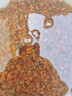 奈寵水草泥魚(yú)缸專(zhuān)用生態(tài)水草泥底砂造景沙凈水免洗水藻泥種植營(yíng)養土泥 水草泥5斤+水草種子（隨機） 曬單實(shí)拍圖
