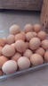 德青源PLUS聯(lián)名款A+級鮮雞蛋32枚2.74斤無(wú)抗生素 源頭直發(fā) 1件包郵 曬單實(shí)拍圖