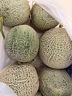 胖東來(lái)同款牛三蜜瓜正宗海南三亞新鮮現摘網(wǎng)紋哈密瓜冰激凌當季新 牛三蜜瓜 1.8斤左右1個(gè)裝試吃 曬單實(shí)拍圖