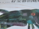 【信誼】好安靜的蟋蟀（3-8歲）艾瑞·卡爾經(jīng)典昆蟲(chóng)有聲書(shū) 兒童繪本 發(fā)聲書(shū) 有聲書(shū) 早教發(fā)聲書(shū) 曬單實(shí)拍圖